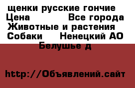 щенки русские гончие › Цена ­ 4 000 - Все города Животные и растения » Собаки   . Ненецкий АО,Белушье д.